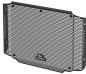 Preview: Triumph Trident 800 Radiator Guard (2026+) by Evotech Performance